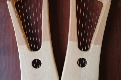 Why It’s Important to Have a Professional Lyre