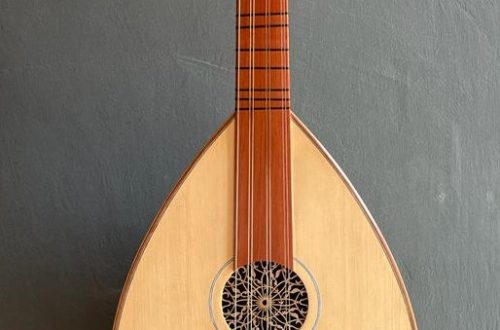 What Should We Know About Lute