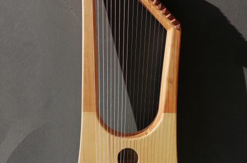 Wood Selection for Lyre Making